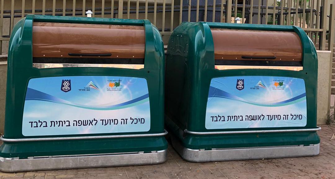 דימונה (3)